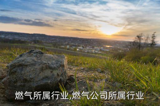 燃气所属行业,燃气公司所属行业