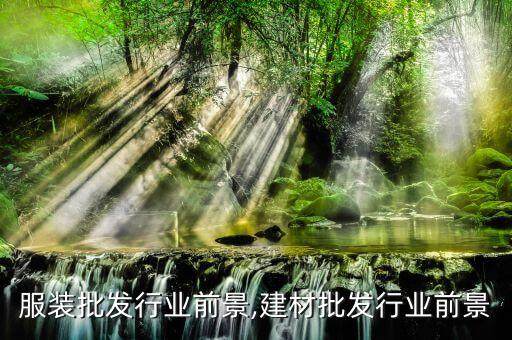 深圳服装批发行业前景,建材批发行业前景