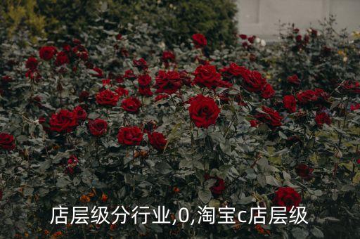 店层级分行业,0,淘宝c店层级