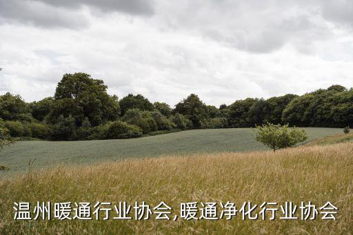 温州暖通行业协会,暖通净化行业协会