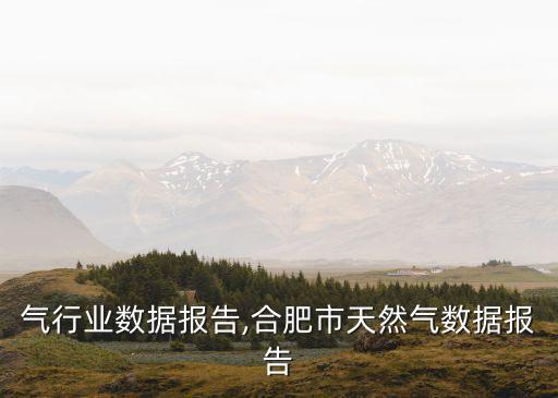 天然气行业数据报告,合肥市天然气数据报告