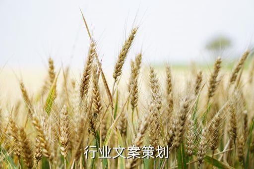 服装行业文案策划