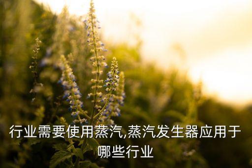 行业需要使用蒸汽,蒸汽发生器应用于哪些行业