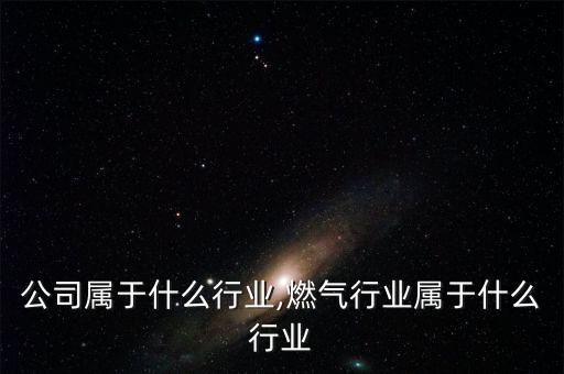 公司属于什么行业,燃气行业属于什么行业