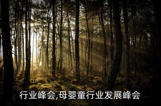 母婴行业峰会,母婴童行业发展峰会