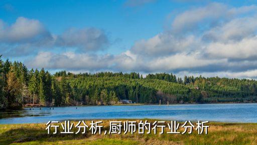 行业分析,厨师的行业分析
