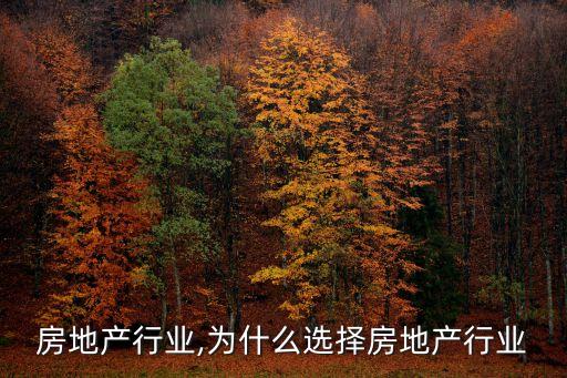 房地产行业,为什么选择房地产行业