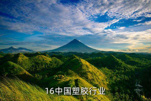 16中国塑胶行业