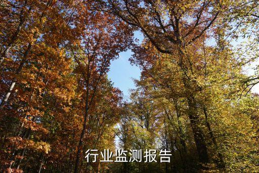 行业监测报告