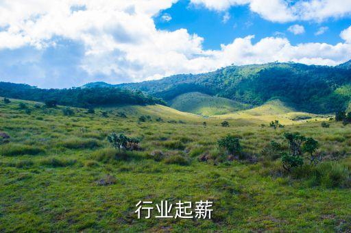 化工行业起薪