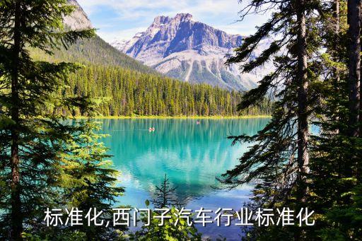 标准化,西门子汽车行业标准化