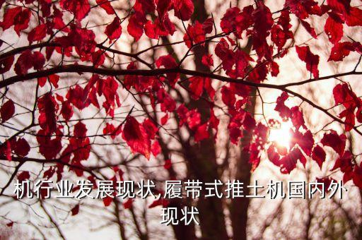 推土机行业发展现状,履带式推土机国内外现状