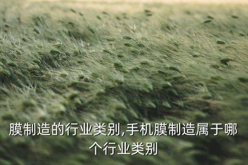膜制造的行业类别,手机膜制造属于哪个行业类别