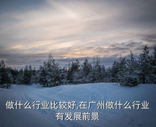 做什么行业比较好,在广州做什么行业有发展前景