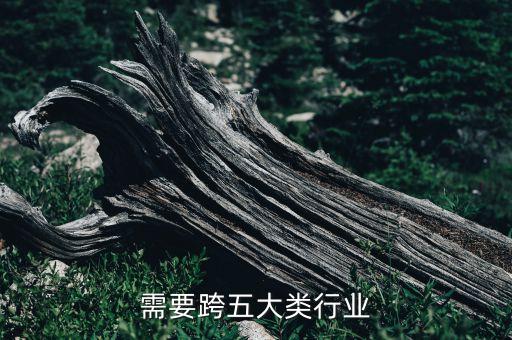 需要跨五大类行业