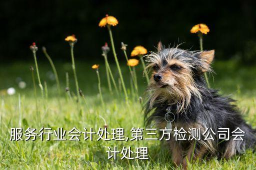 检测服务行业会计处理,第三方检测公司会计处理