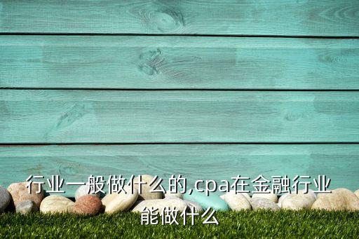金融行业一般做什么的,cpa在金融行业能做什么
