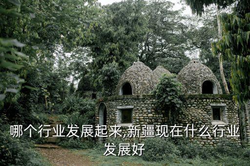 新疆哪个行业发展起来,新疆现在什么行业发展好
