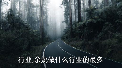 余姚行业,余姚做什么行业的最多