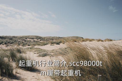 起重机行业简介,scc98000tm履带起重机