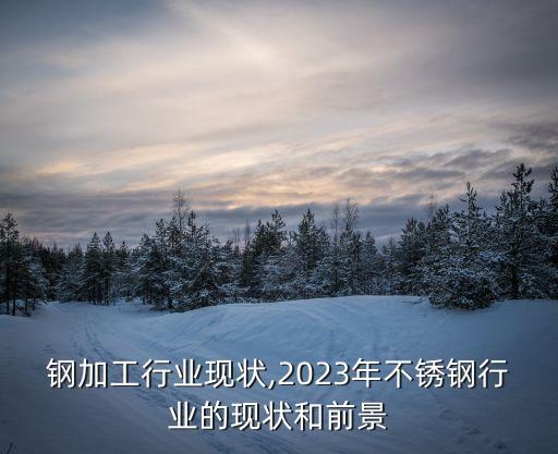 不锈钢加工行业现状,2023年不锈钢行业的现状和前景