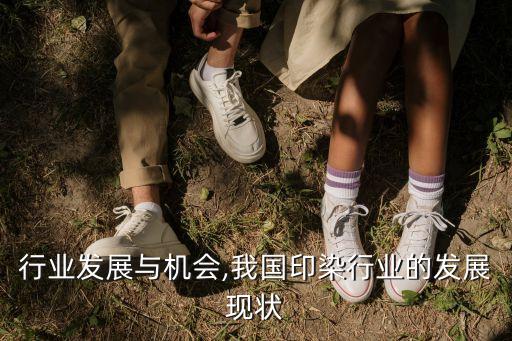 行业发展与机会,我国印染行业的发展现状