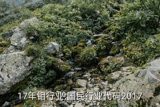 17年钼行业,国民行业代码2017