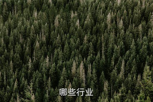 哪些行业
