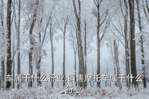 车属于什么行业,销售摩托车属于什么行业