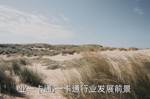 多行业一卡通,一卡通行业发展前景