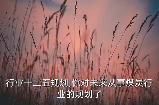 煤炭行业十二五规划,你对未来从事煤炭行业的规划了
