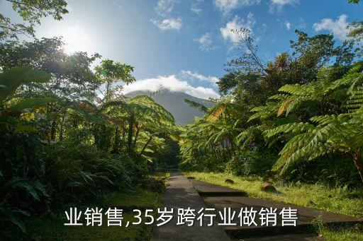 跨行业销售,35岁跨行业做销售