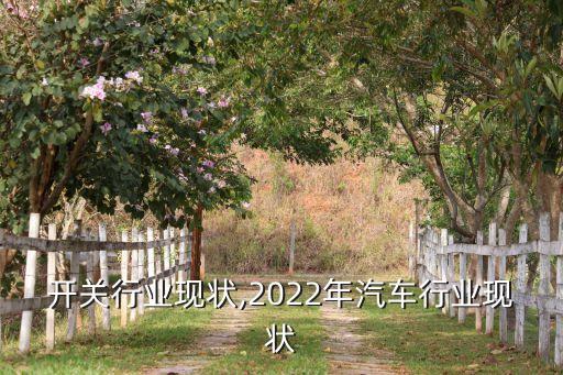 汽车开关行业现状,2022年汽车行业现状