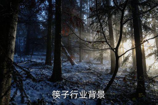筷子行业背景