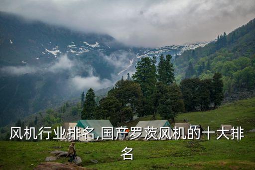 风机行业排名,国产罗茨风机的十大排名
