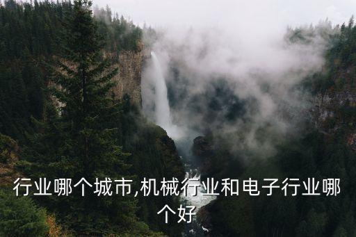 行业哪个城市,机械行业和电子行业哪个好