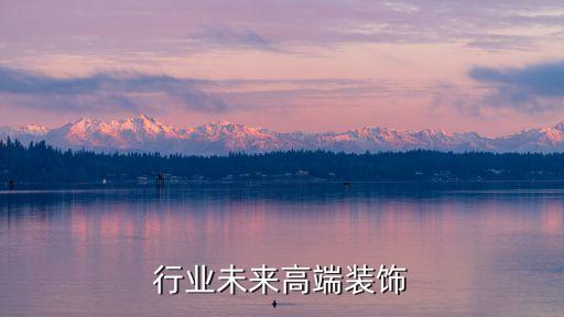 行业未来高端装饰