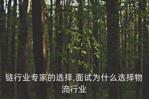 物流链行业专家的选择,面试为什么选择物流行业