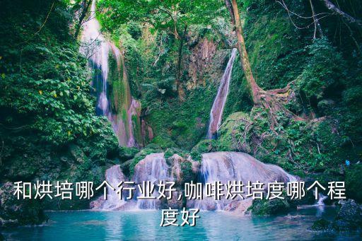 咖啡和烘培哪个行业好,咖啡烘培度哪个程度好