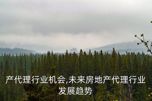 产代理行业机会,未来房地产代理行业发展趋势