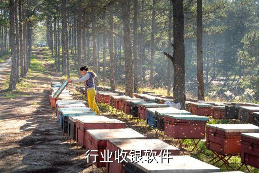 行业收银软件