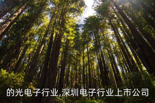 的光电子行业,深圳电子行业上市公司