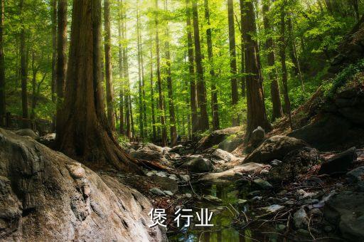 电饭煲 行业