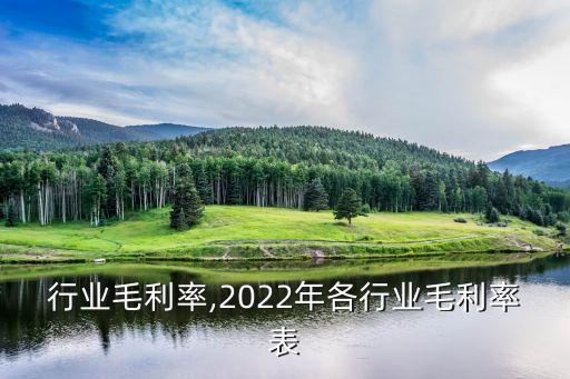 工装行业毛利率,2022年各行业毛利率表