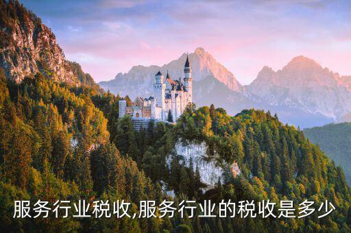 服务行业税收,服务行业的税收是多少