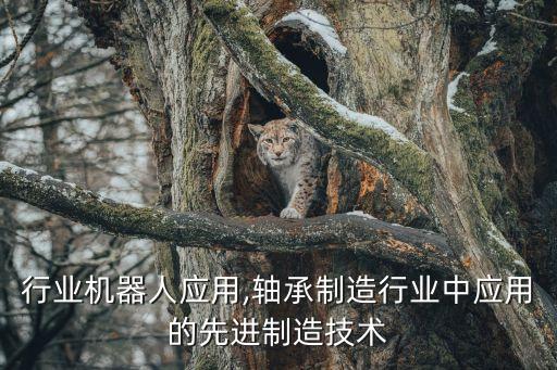 行业机器人应用,轴承制造行业中应用的先进制造技术
