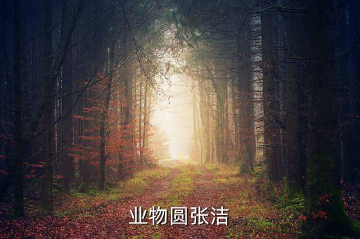 业物圆张洁