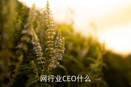 网行业CEO什么