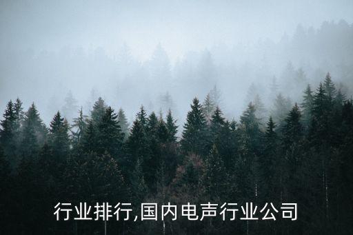 行业排行,国内电声行业公司