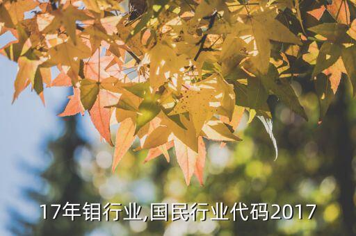 2017年钼行业,国民行业代码2017